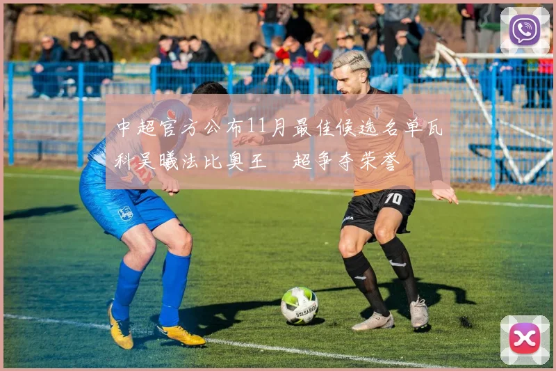 中超官方公布11月最佳候选名单瓦科吴曦法比奥王燊超争夺荣誉