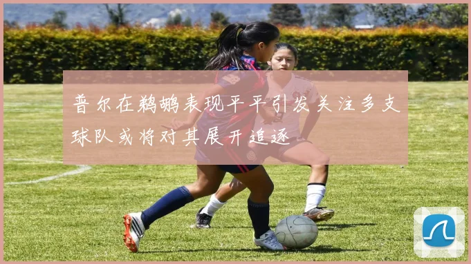 普尔在鹈鹕表现平平引发关注多支球队或将对其展开追逐
