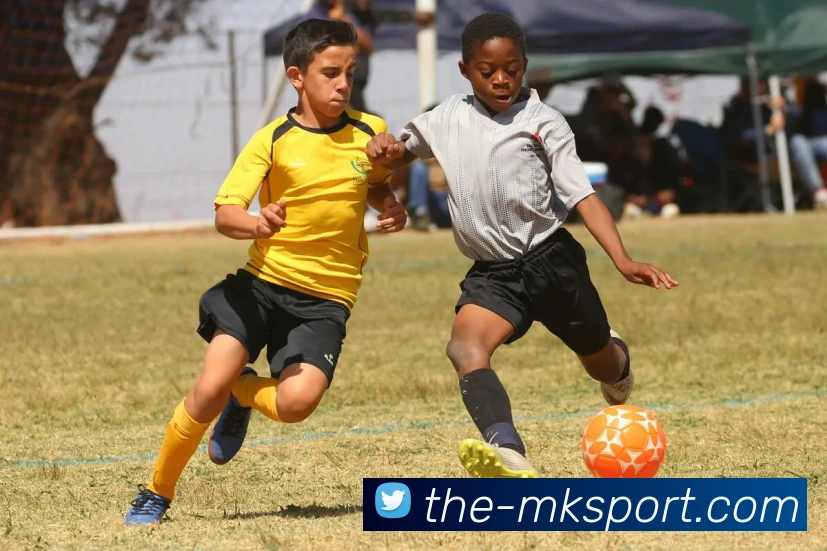 多媒体互动体验