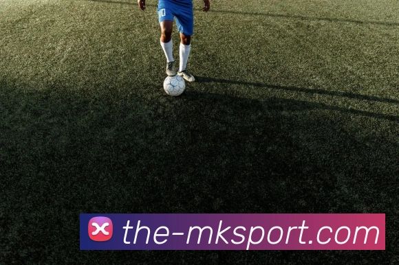 MK体育APP 高清赛事图